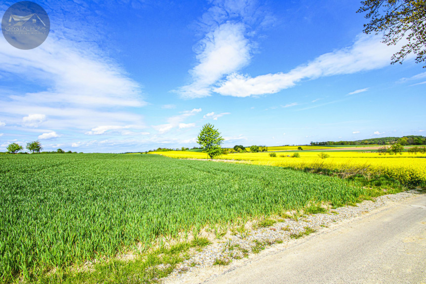 świdnicki, Marcinowice, Wirki, Działka na sprzedaż w miejscowości WIRKI - 2197M2